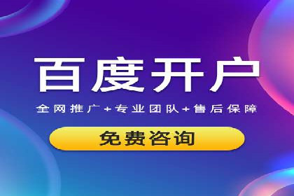 SEM代运营服务公司成功案例解析